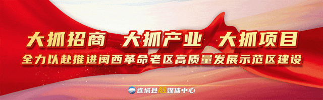 张铃, 激情开打